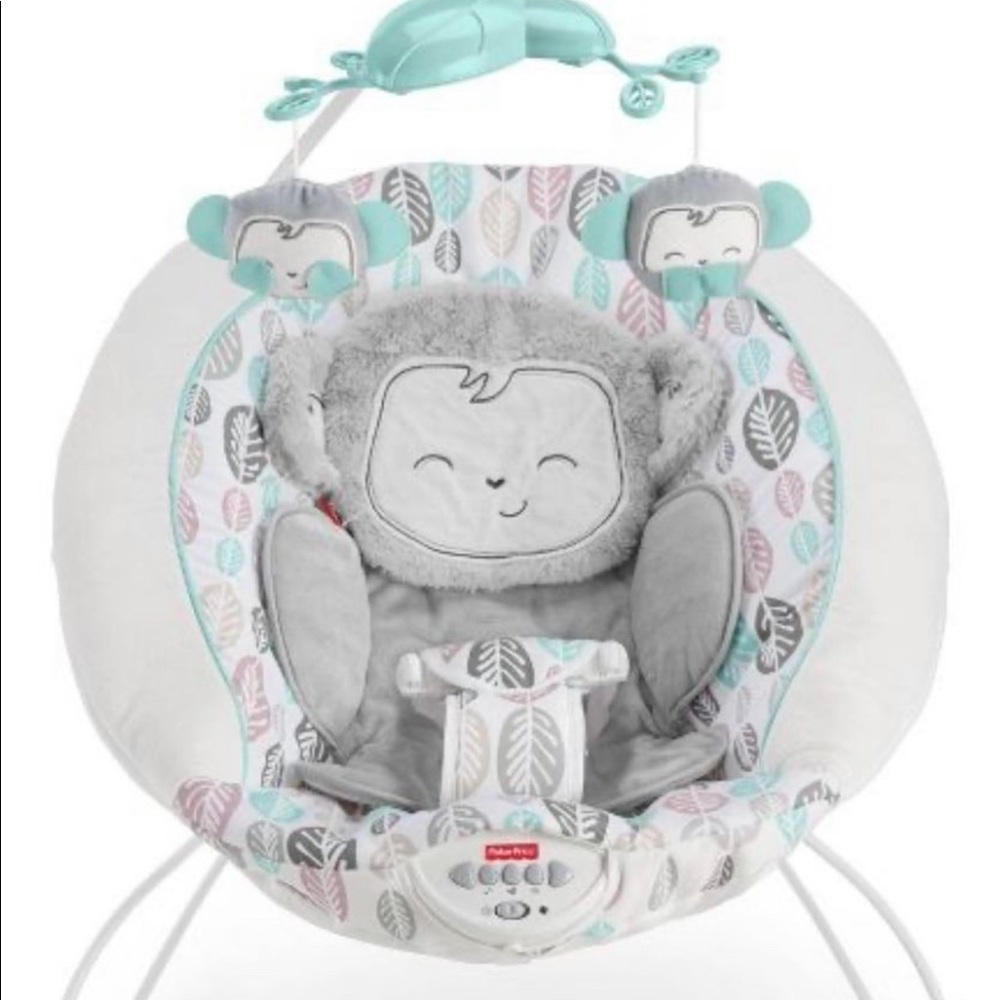 Baby Bouncer